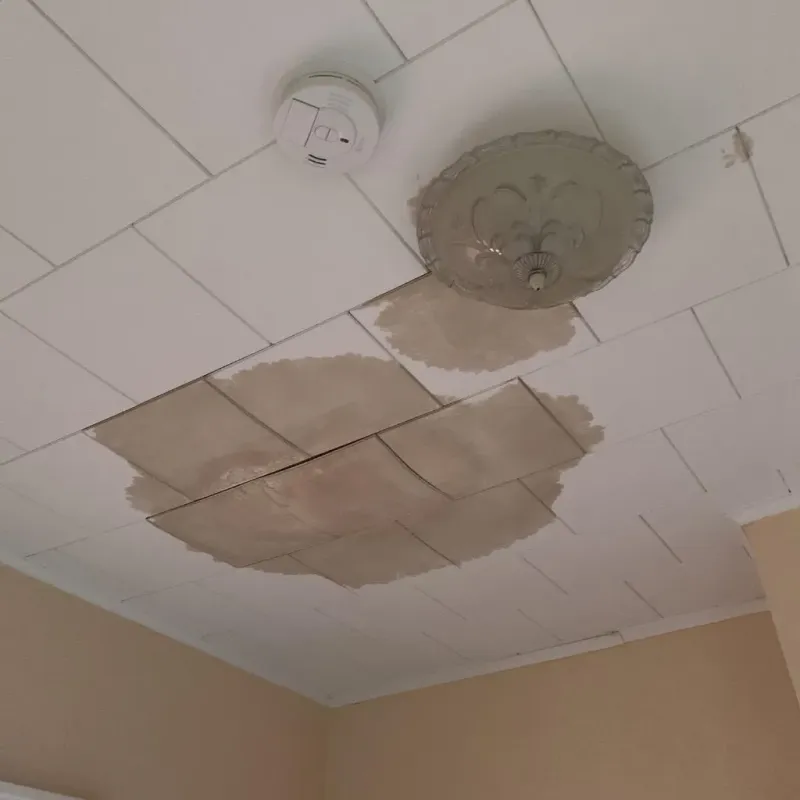 Ceiling Water Damage Repair in Roebling, NJ