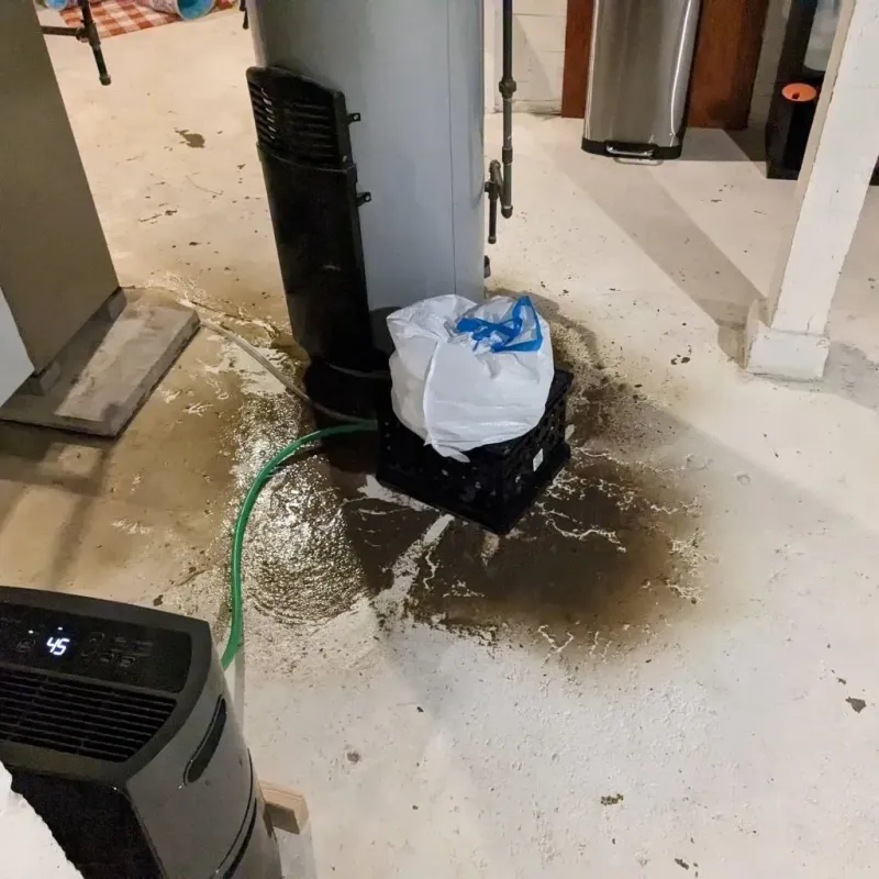 Sewage Backup Cleanup Service in Roebling, NJ